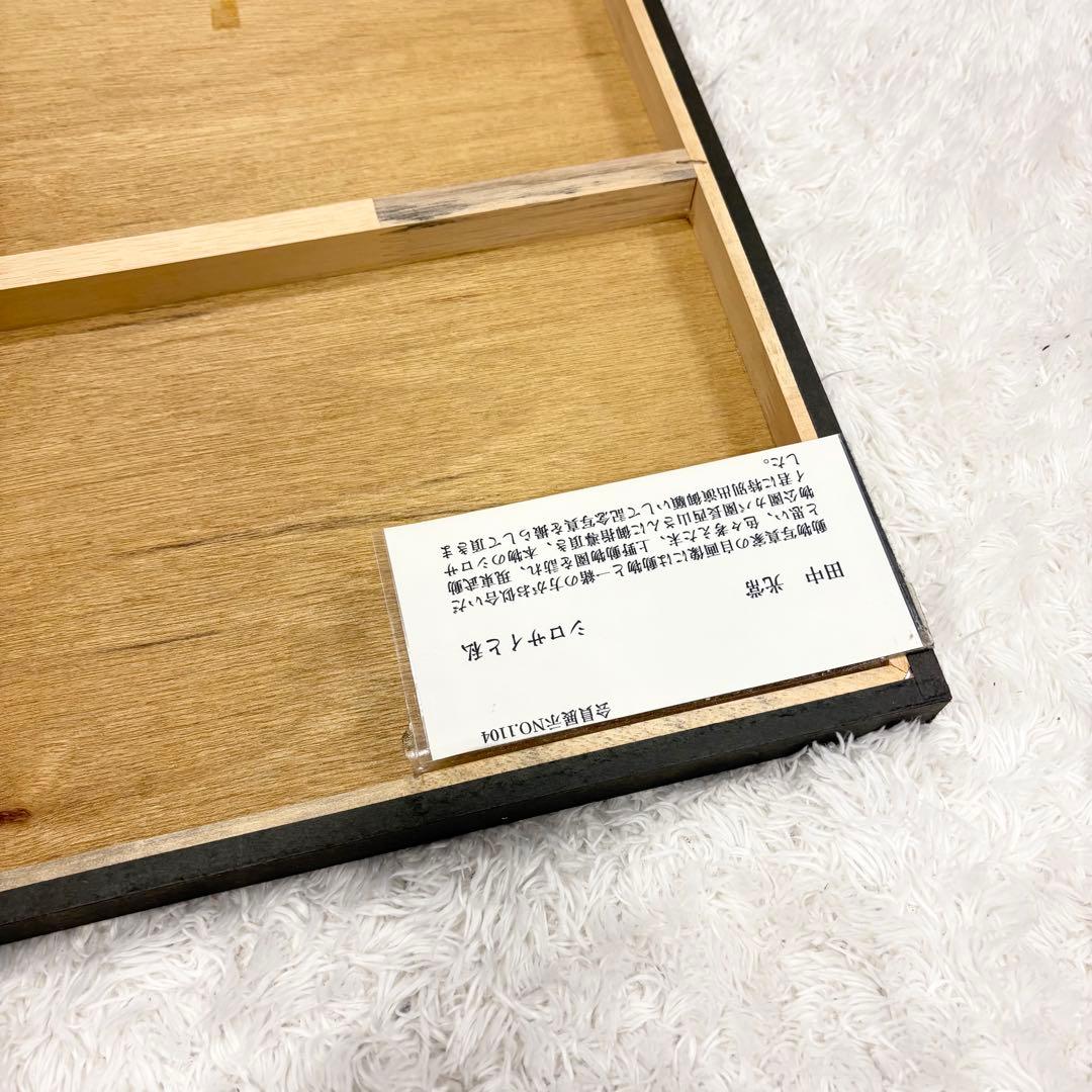 田中光常 シロサイと私 額装写真 モノクロ 写真作品 動物写真家 インテリア