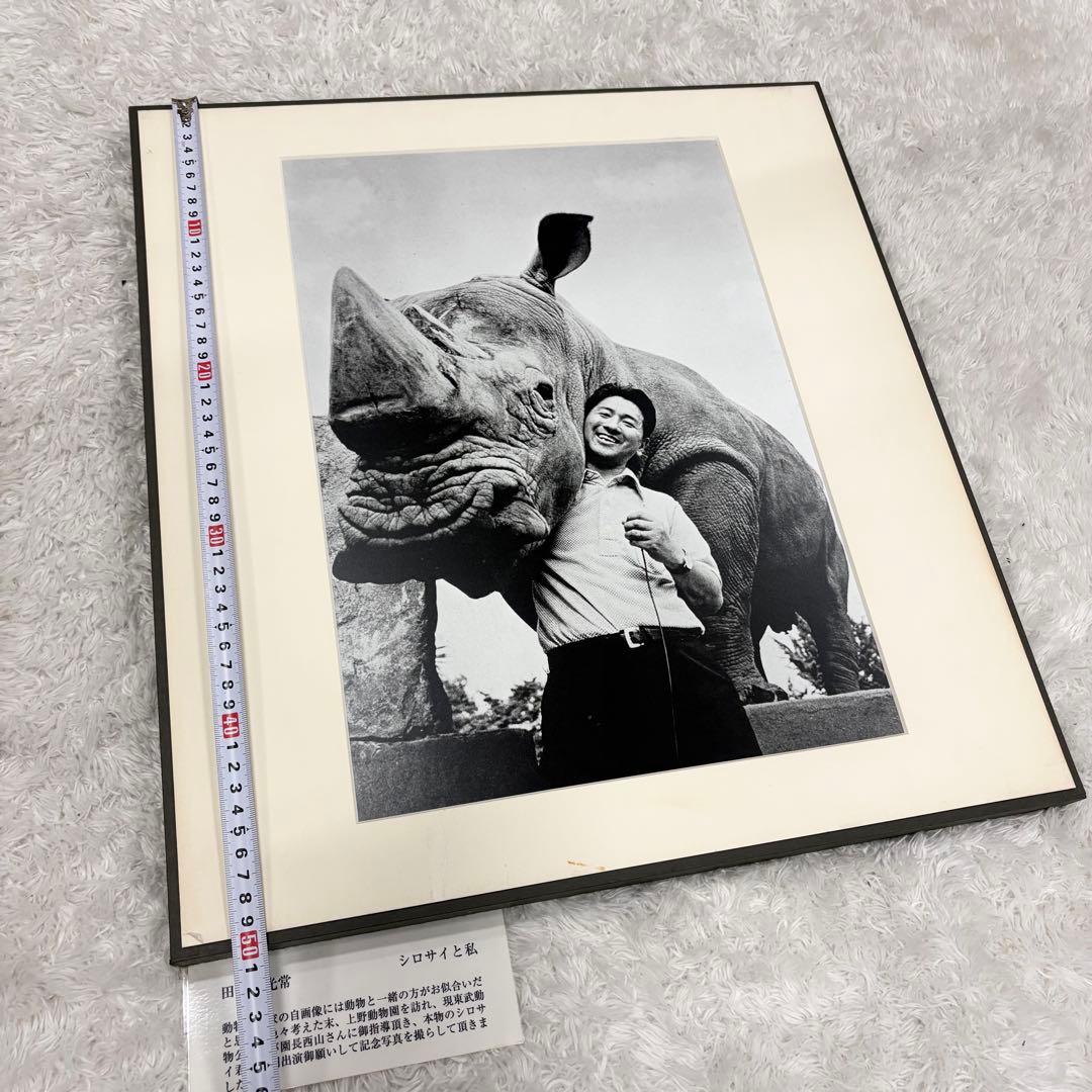 田中光常 シロサイと私 額装写真 モノクロ 写真作品 動物写真家 インテリア