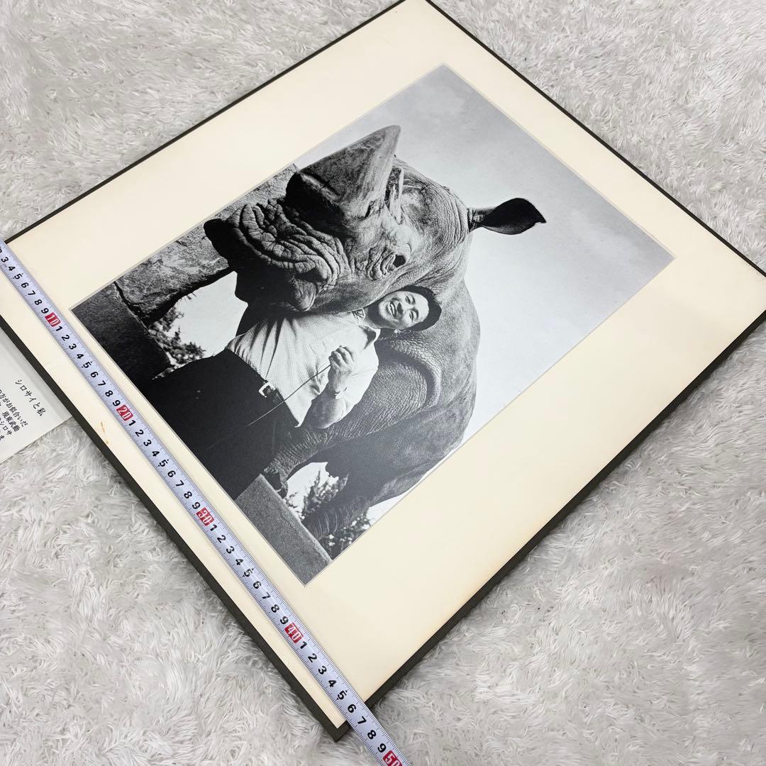 田中光常 シロサイと私 額装写真 モノクロ 写真作品 動物写真家 インテリア