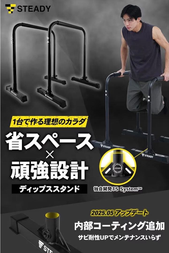 STEADY ディップススタンド 未使用品 筋トレ 自宅トレーニング 送料無料