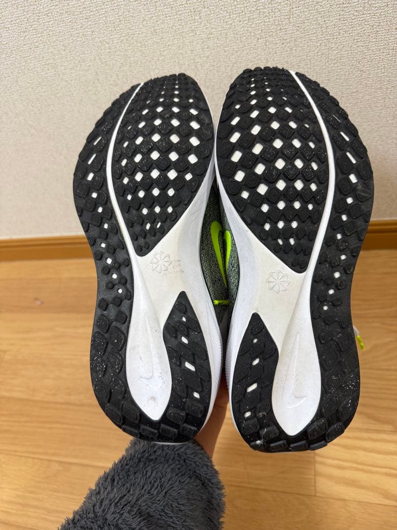 Nike ペガサス41 27cm