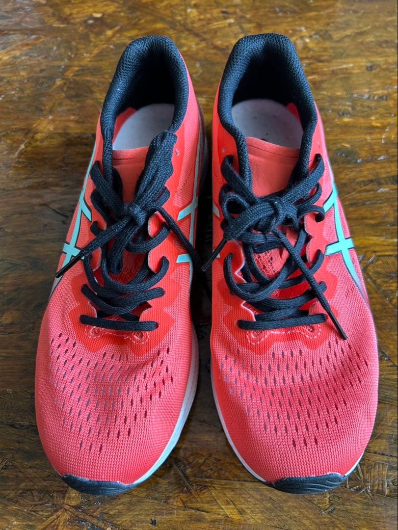 【美品】asics ターサー TARTHER RP 3 25.0