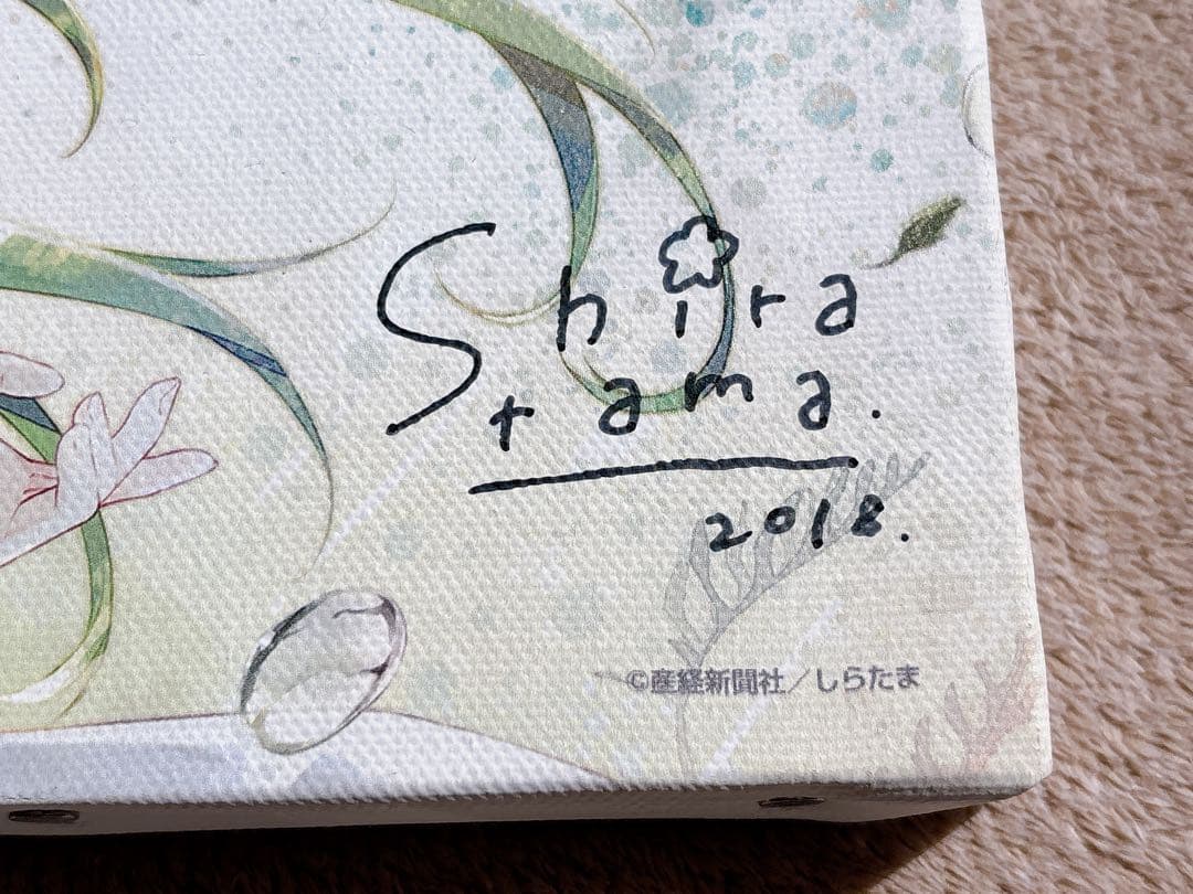 直筆サイン入り しらたま しらたまこ キャンバスアート