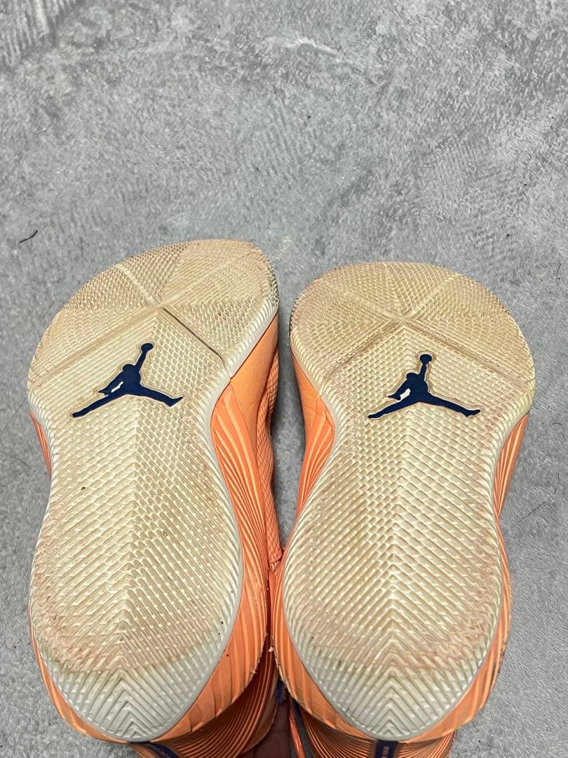 バスケットボールシューズJORDAN WHY NOT ZER0.1 27cm