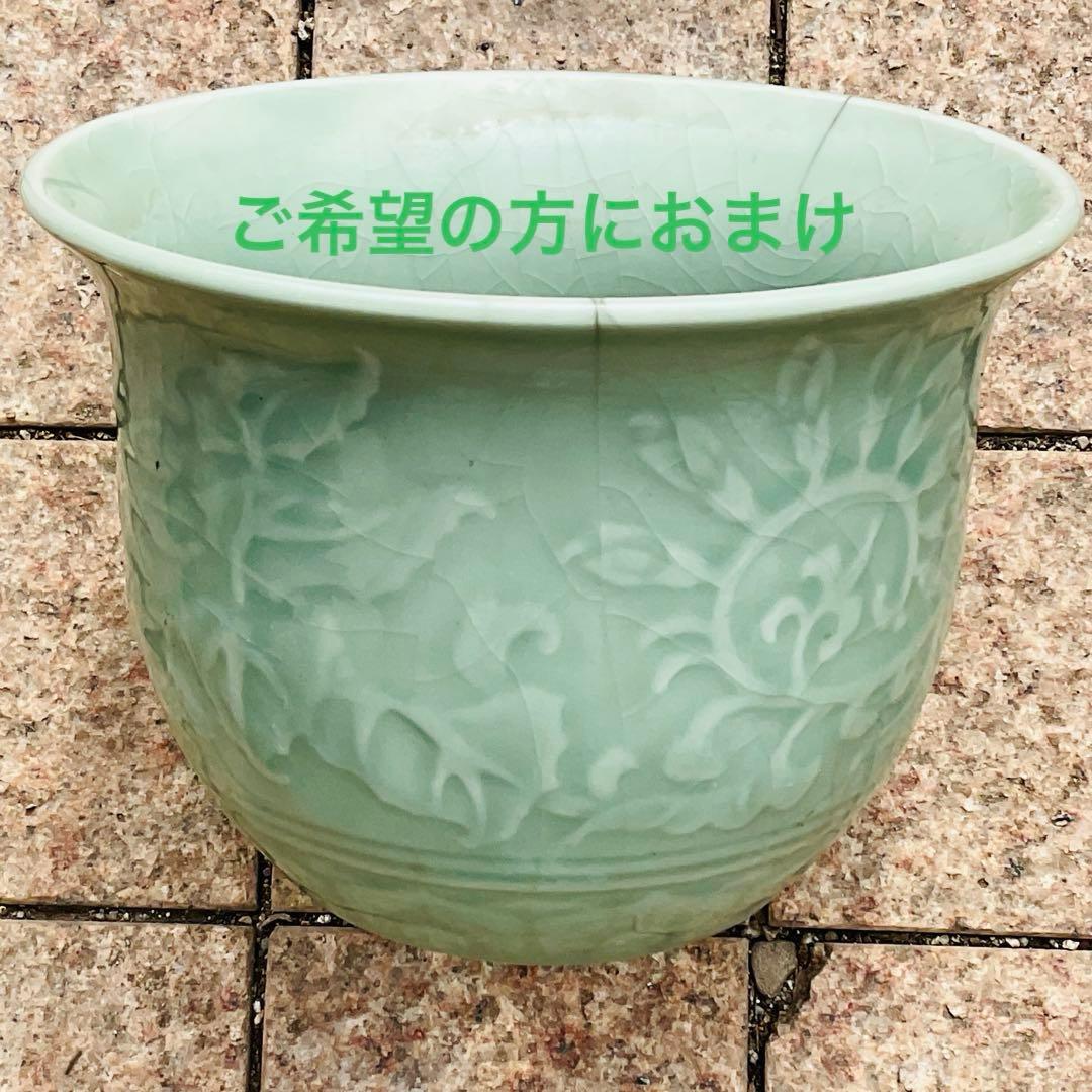 青磁？鉢　植木鉢　プランター　大中小　3個セット