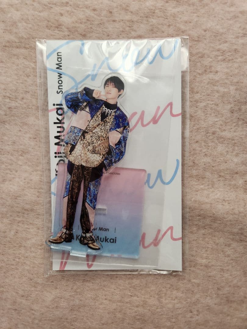 向井康二　アクスタ 9点セット