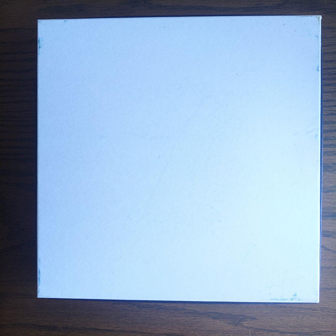 【新品未使用】　フッチェンロイター　プレート皿　2枚セット　廃盤