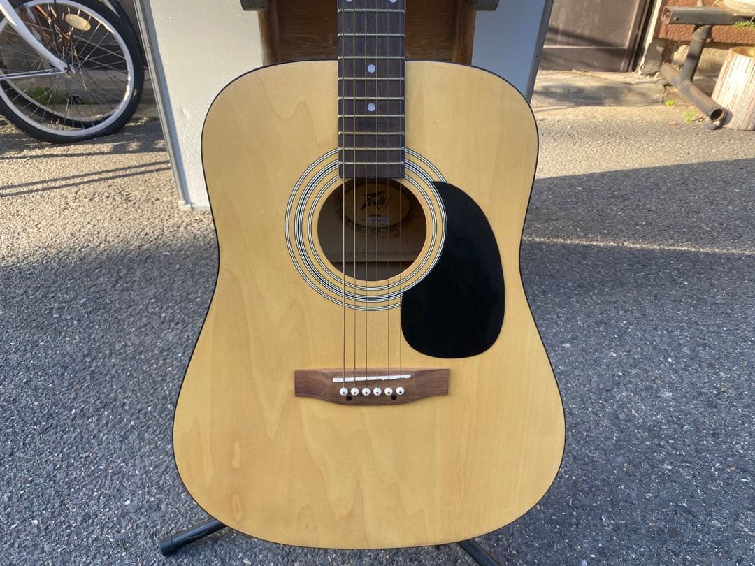 Peavey AGP6 アコースティックギター　ソフトケース付き　ビンテージ