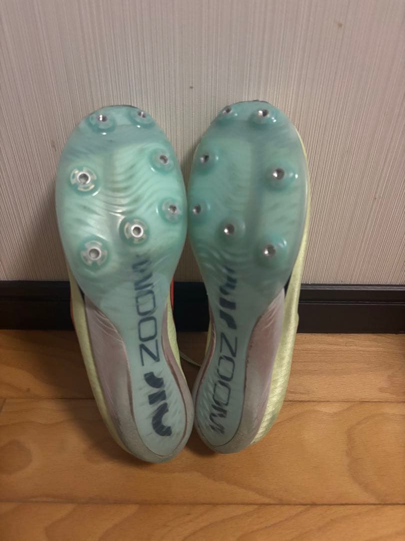 Nike マックスフライ1 26.0cm