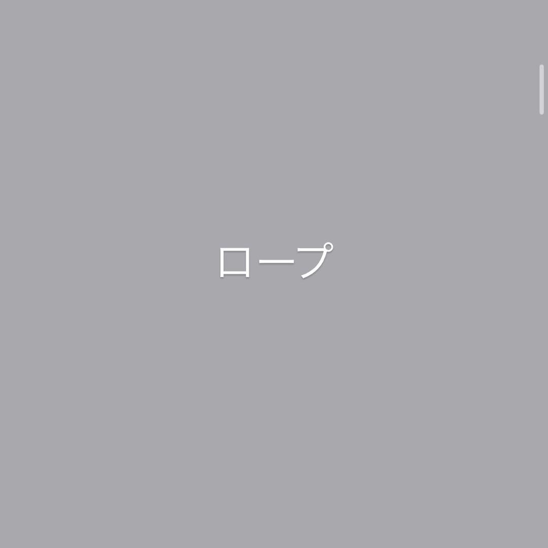 ZANE ARTS GIMORG フットプリント、フロアマット付き