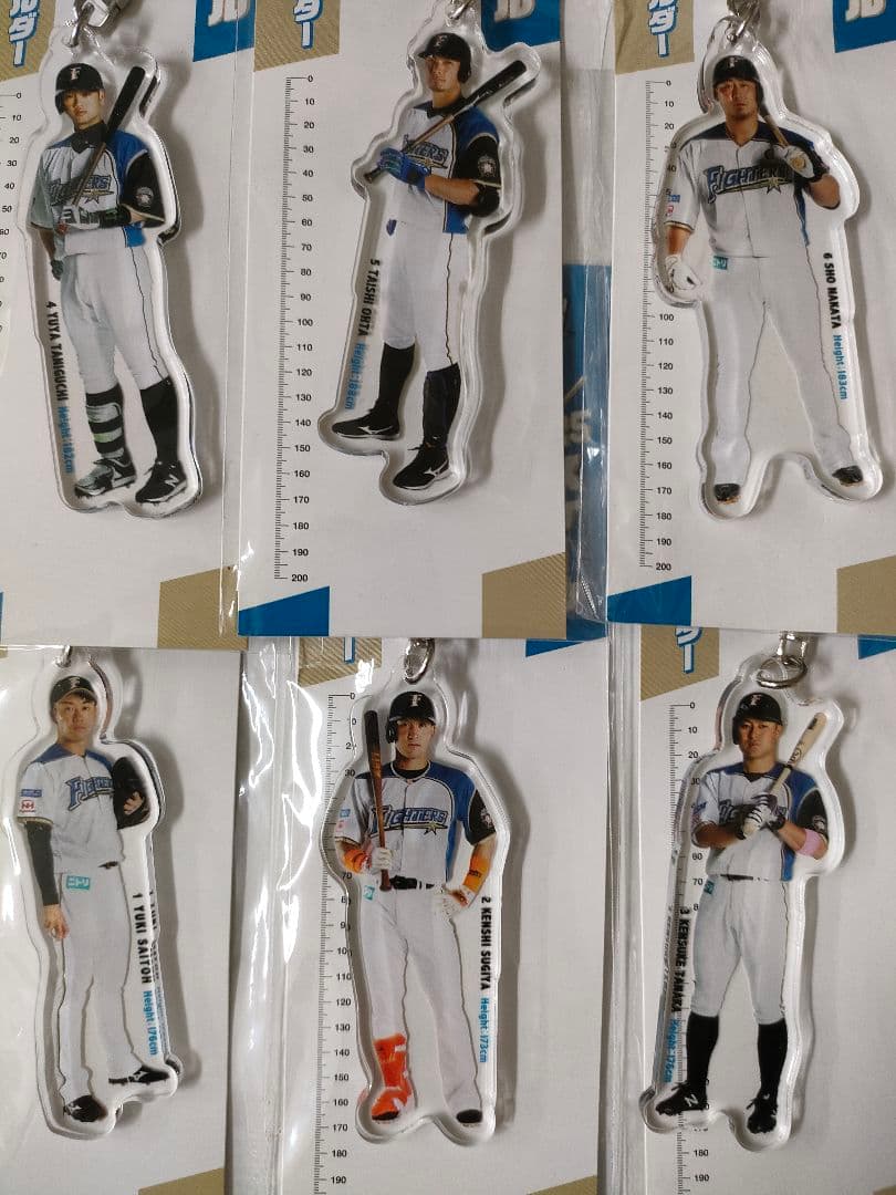 日本ハム　ファイターズ　アクリル　キーホルダー　1／25スケール　野球　セット