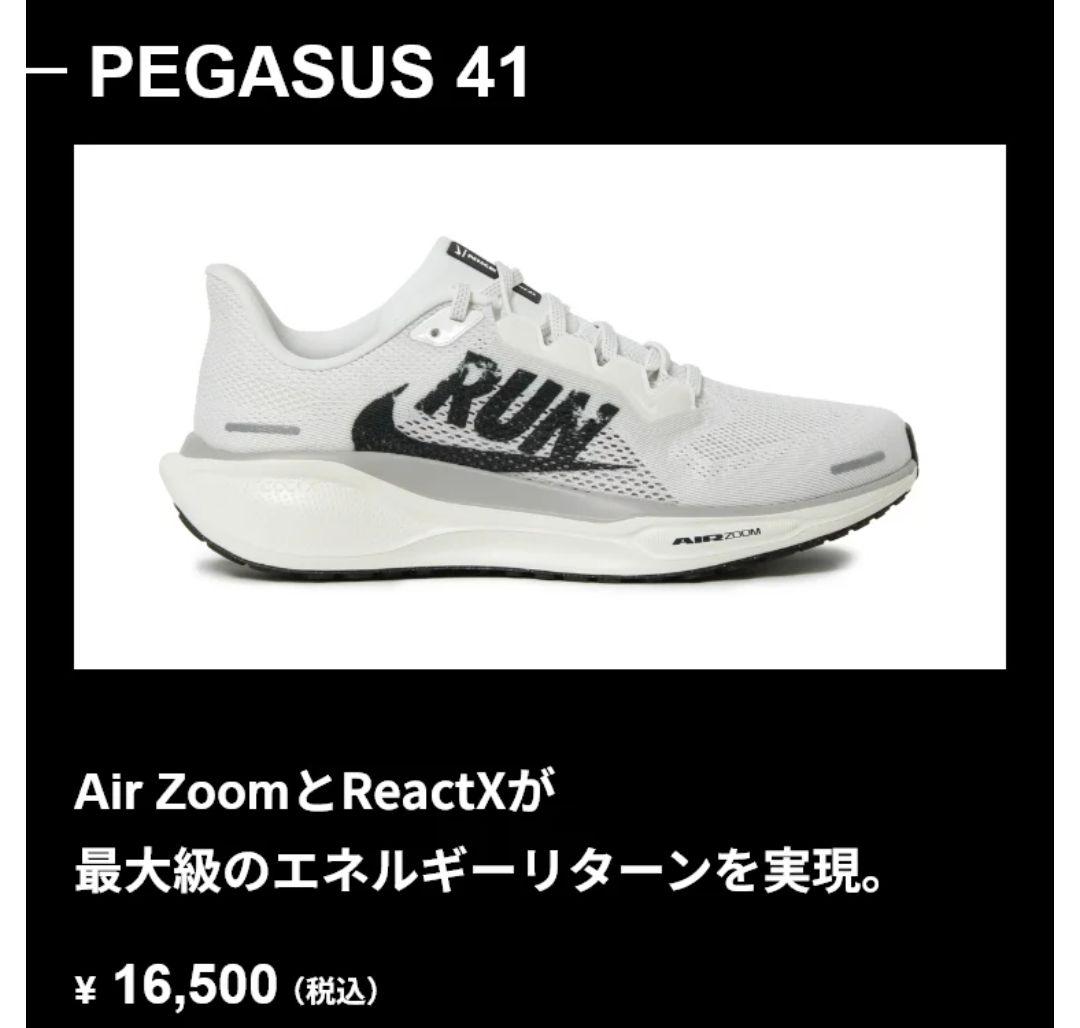 ナイキ　ペガサス41　27.0cm　アルペン　限定カラー　新品