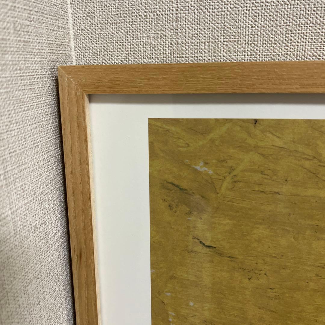 【IDEE】イシス・マアケスタッド「SOL」