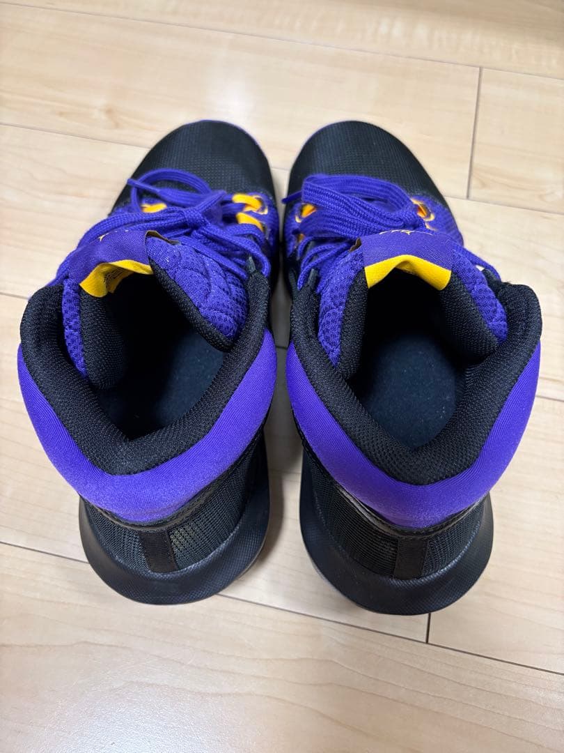 バスケット　NIKE レブロン　ウィットネス8 EP