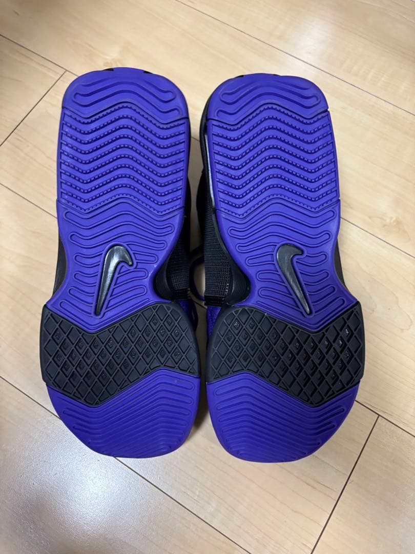 バスケット　NIKE レブロン　ウィットネス8 EP
