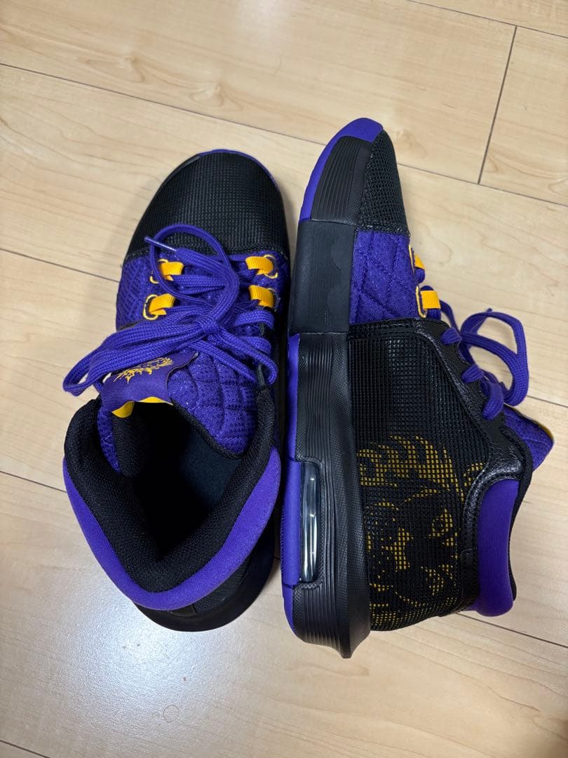バスケット　NIKE レブロン　ウィットネス8 EP