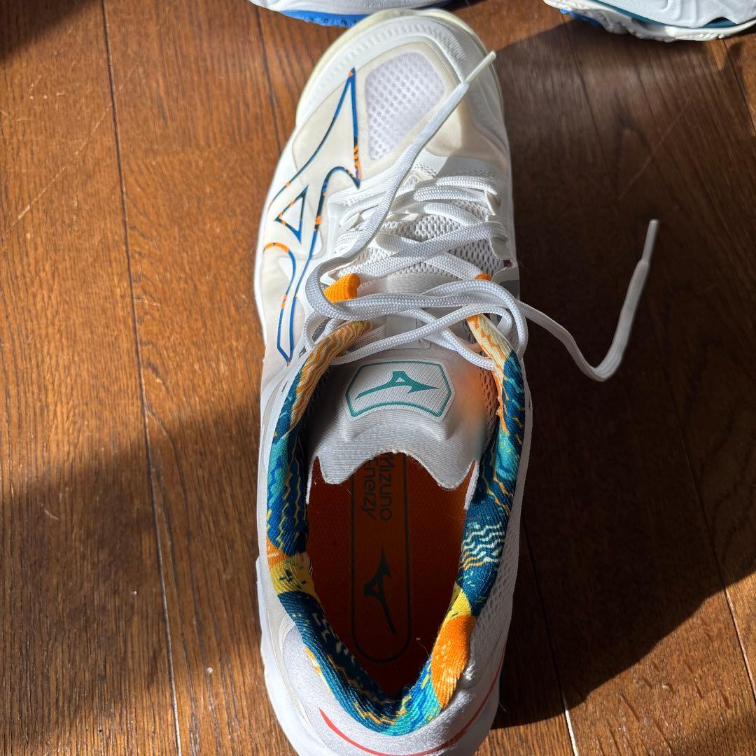 Mizuno Wave Lightning Z6 バレーボールシューズ
