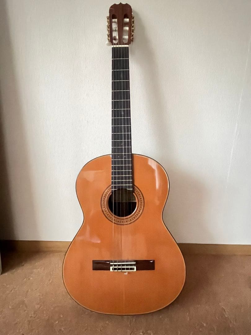 期間限定価格Ryoji matsuoka m65 クラシックギター