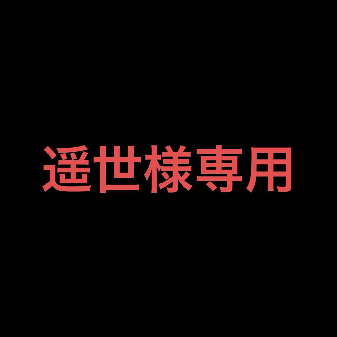 6 13 遥世