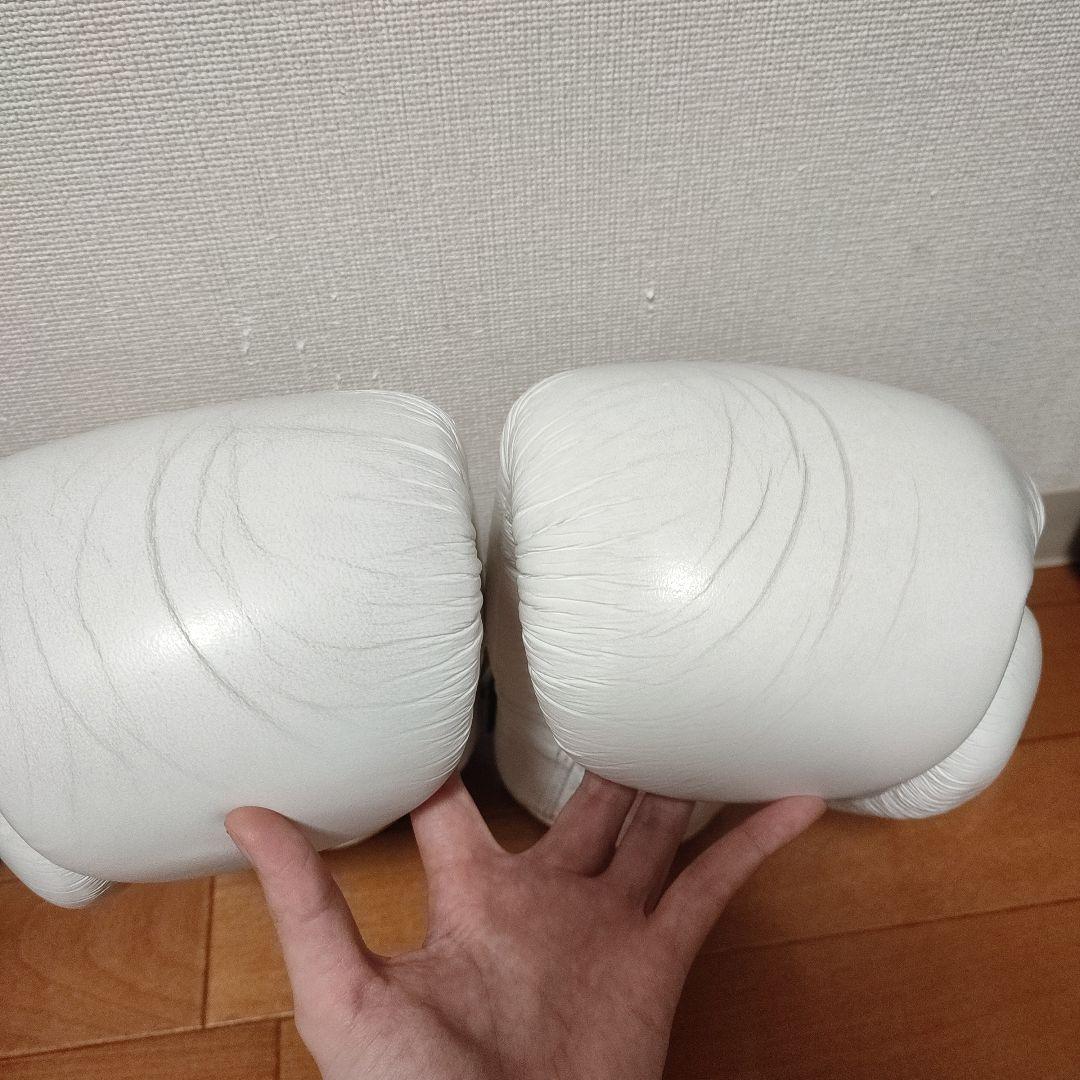 WINDY ボクシンググローブ 10 oz ホワイト