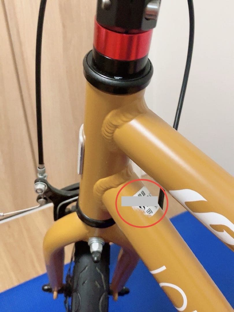 LOUIS GARNEAU 18インチ 子供用自転車　ルイガノ