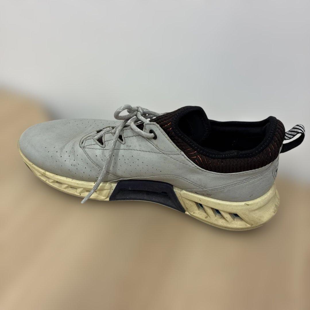 ECCO Golf Biom C4 Men エコーバイオムＣ４　39 27センチ