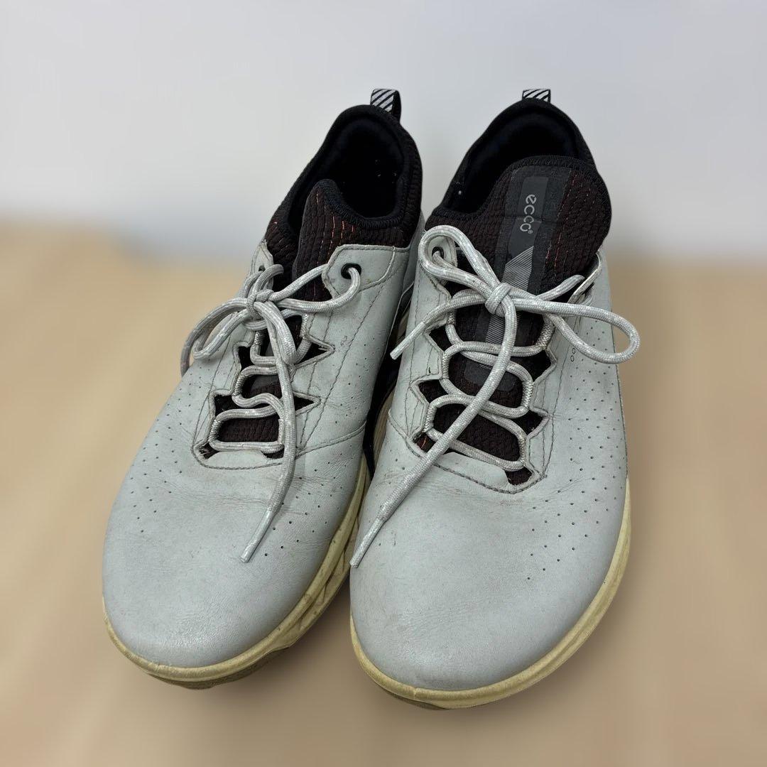 ECCO Golf Biom C4 Men エコーバイオムＣ４　39 27センチ