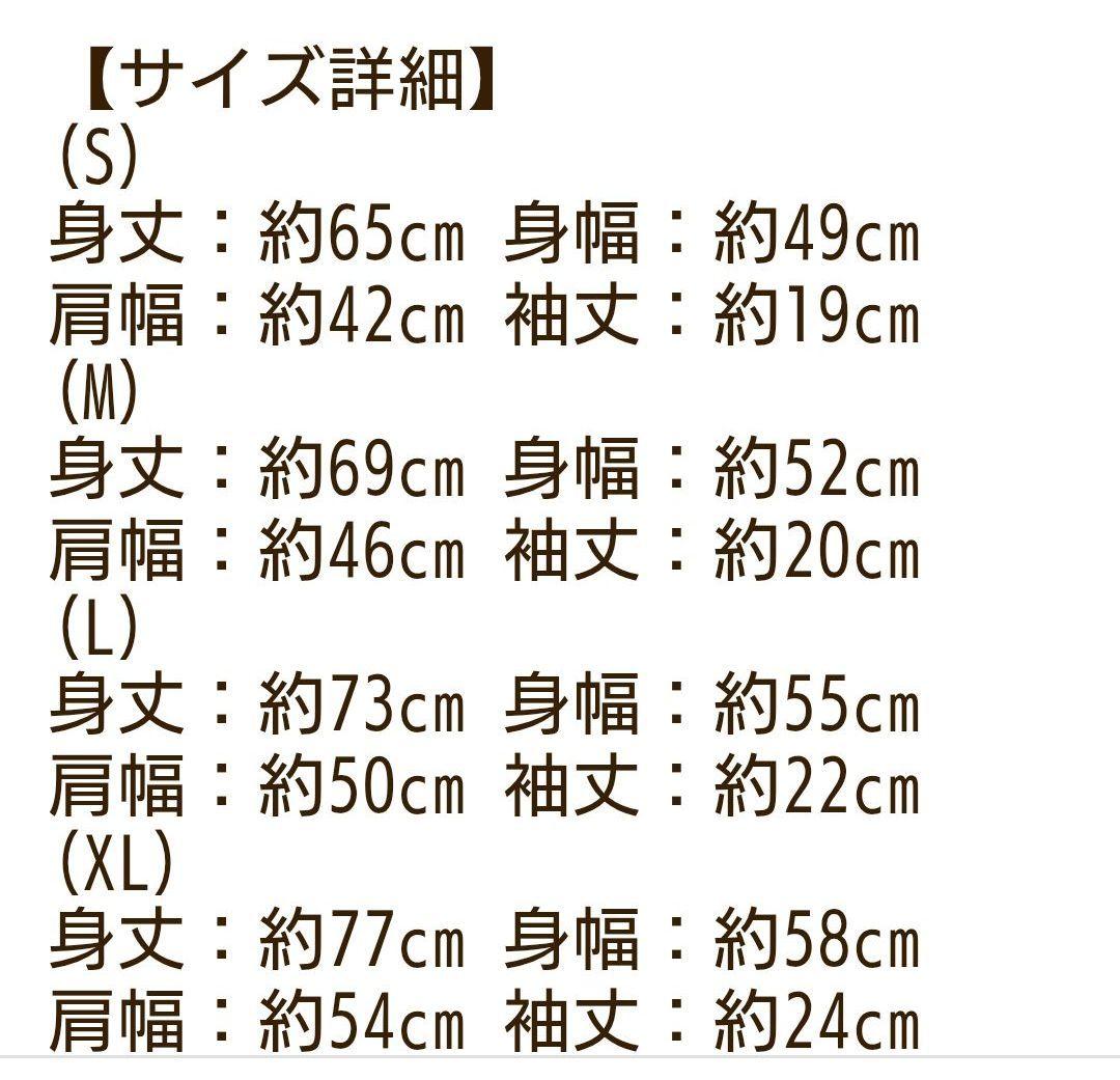 鬼龍院翔 バンドTシャツ 風ソロTシャツ Lサイズ