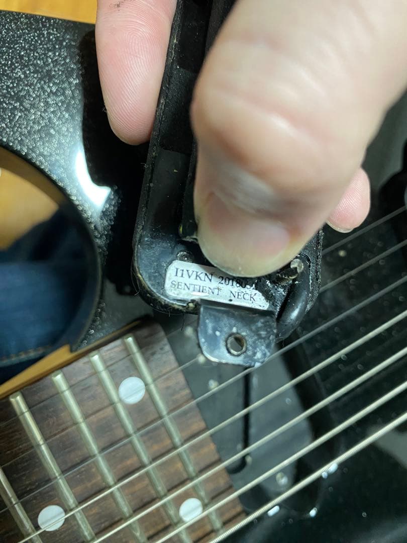 Ibanez Prestige アイバニーズ　RG752FX プレステージ　7弦