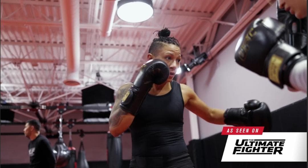 【最高級本革】UFC公式 プロプレミアム トレーニンググローブ ボクシング