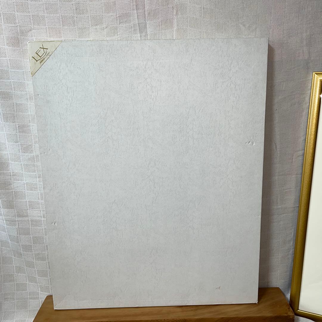 ⭕️画家　金子國義　未使用美品　箱で保管　褪色無し　[題　白鳥]　リトグラフ