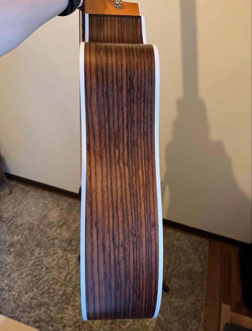 【美品】Tyler 210ce Rosewood -ケース付き-