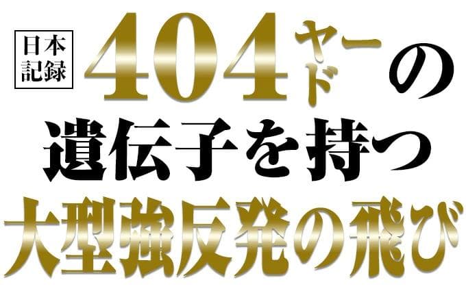 新品 【ヘッド単体】送料無料♪適合モデル　ワイルドマキシマックス