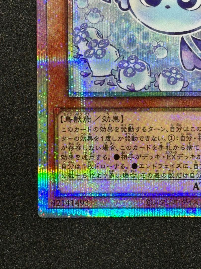 マルチャミー・フワロス　プリズマ（プリシク）　【ワンオーナー品】