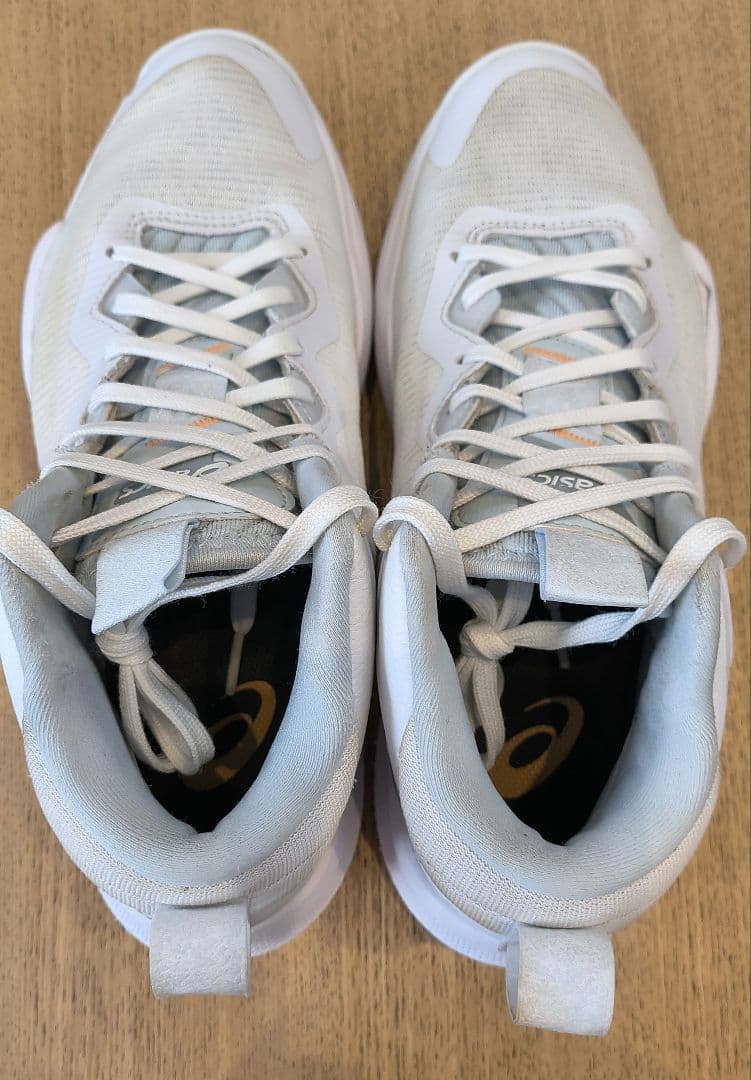 ASICS　NOVA　SURGE3　25.5cm