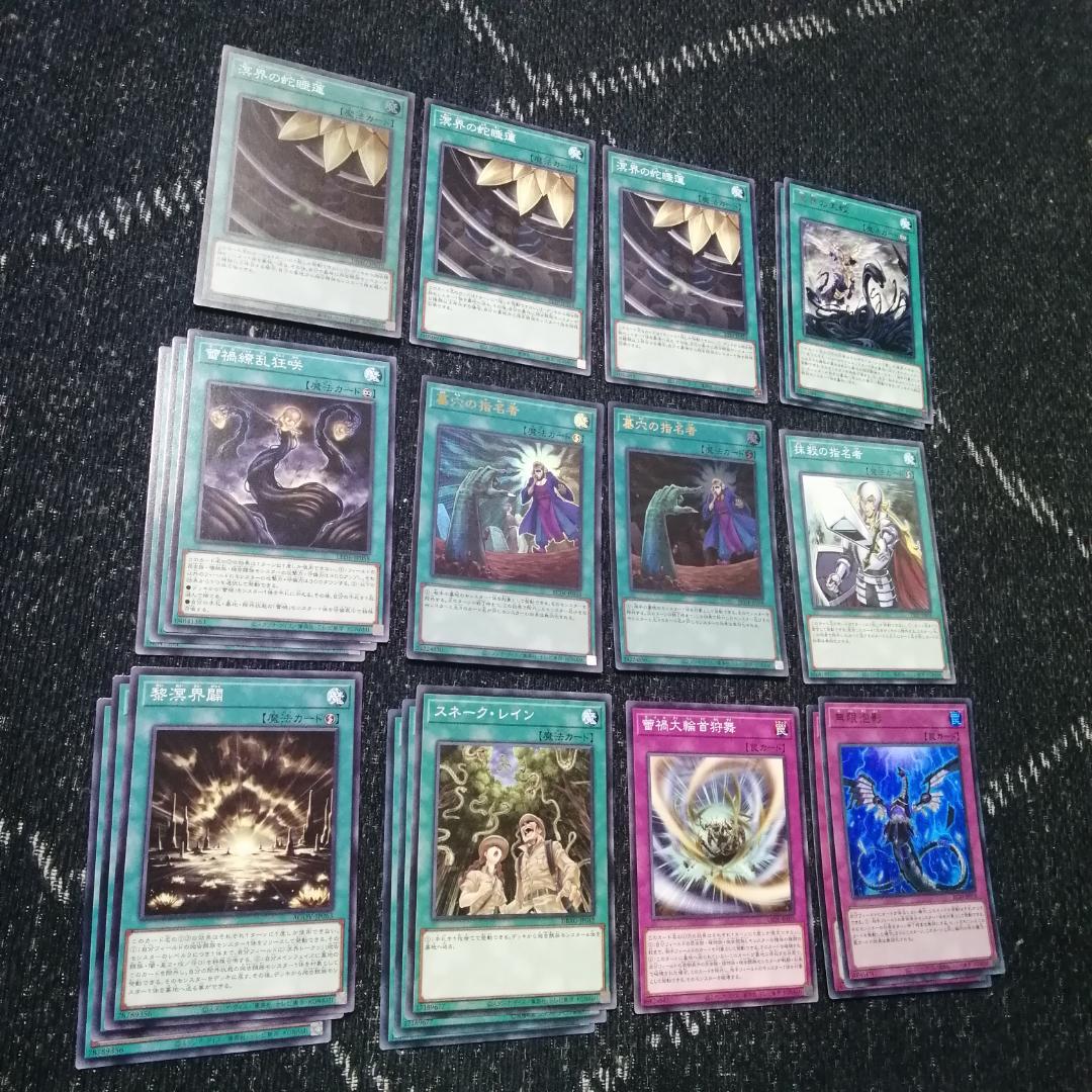 遊戯王　デッキ　溟界　蕾禍　デッキ　ナイア　ヌル　溟界の蛇睡蓮　[04199]