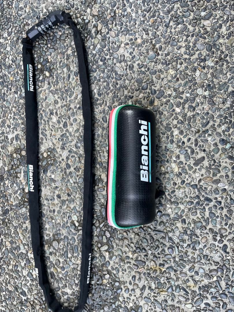 BIANCHI TORINO USモデル グラファイト 59 クロスバイク