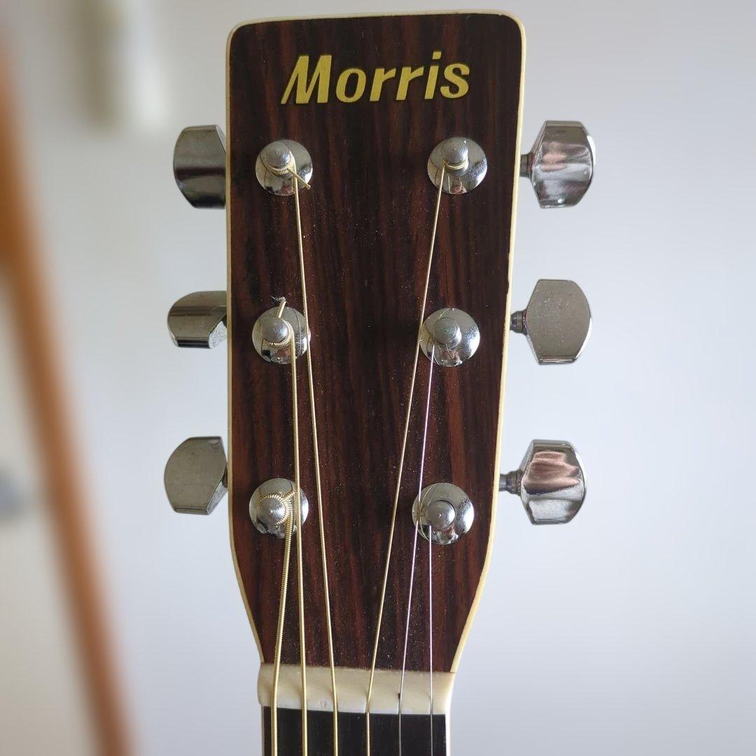 ギター Morris FD25