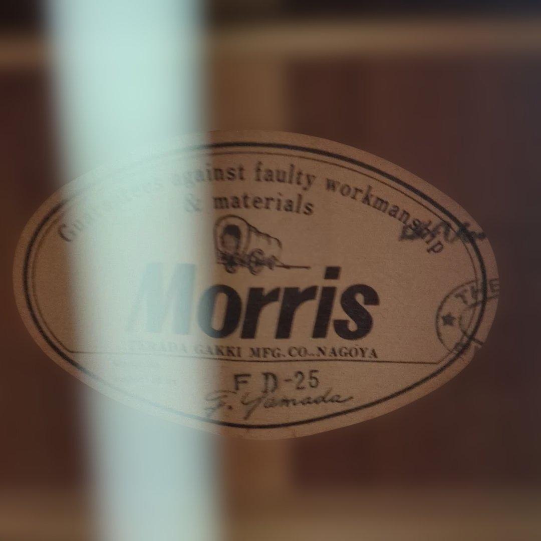 ギター Morris FD25