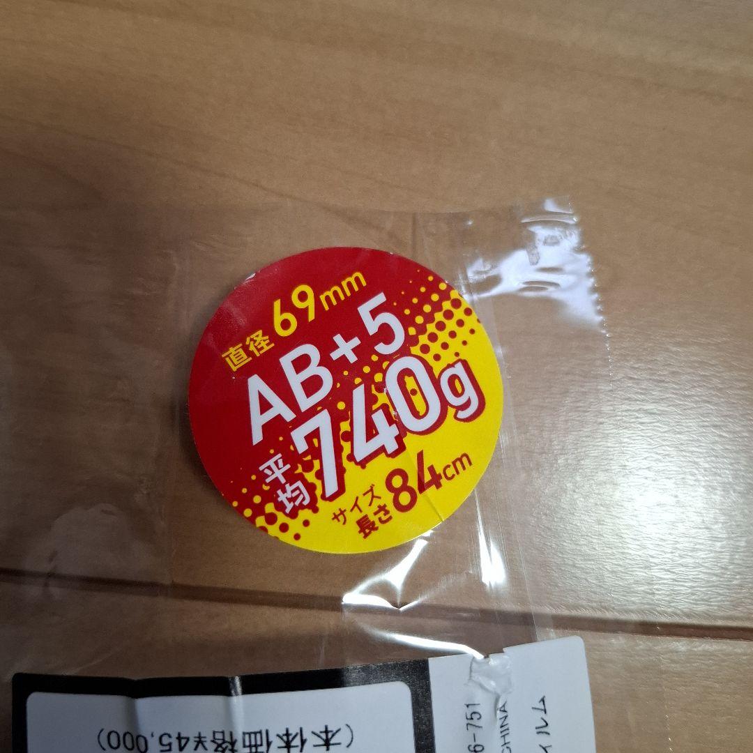 イーストンハイプファイアEASTON HYPE FIRE バット バットケース付