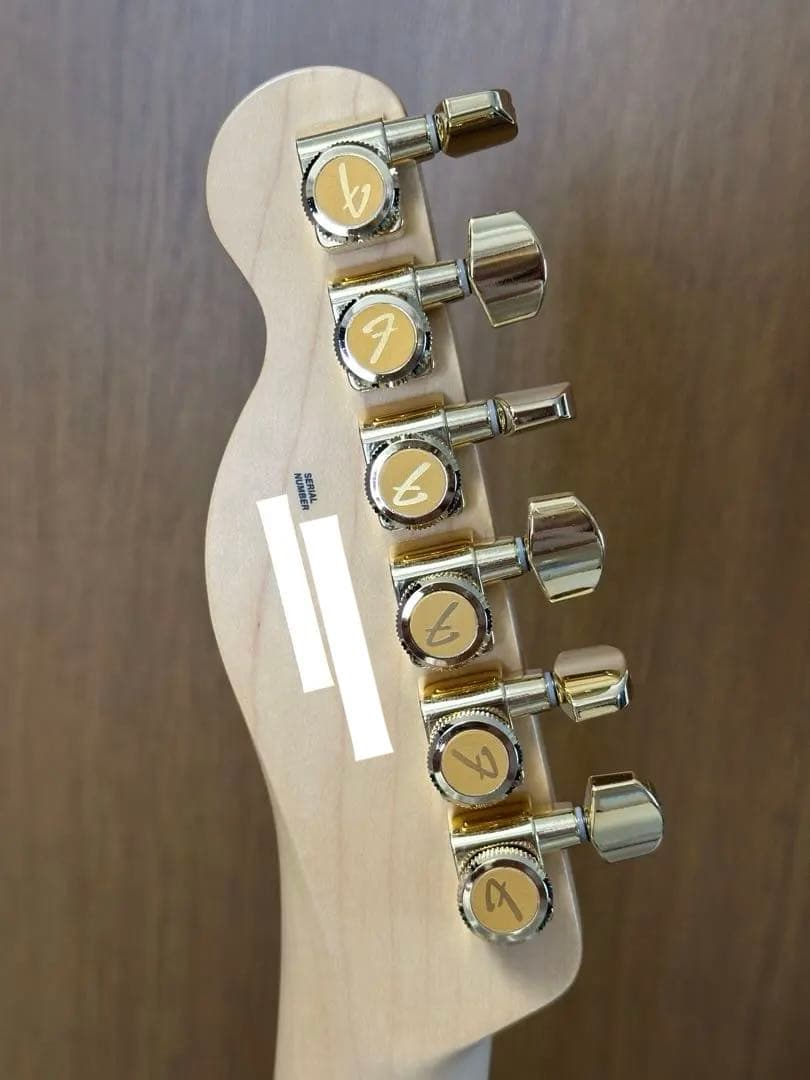 fender MEX PLAYER TELE HH PF 3TS カスタム
