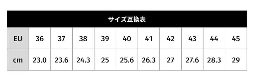 FLR F-22 BLACK ビンディングシューズ　42(27.0)