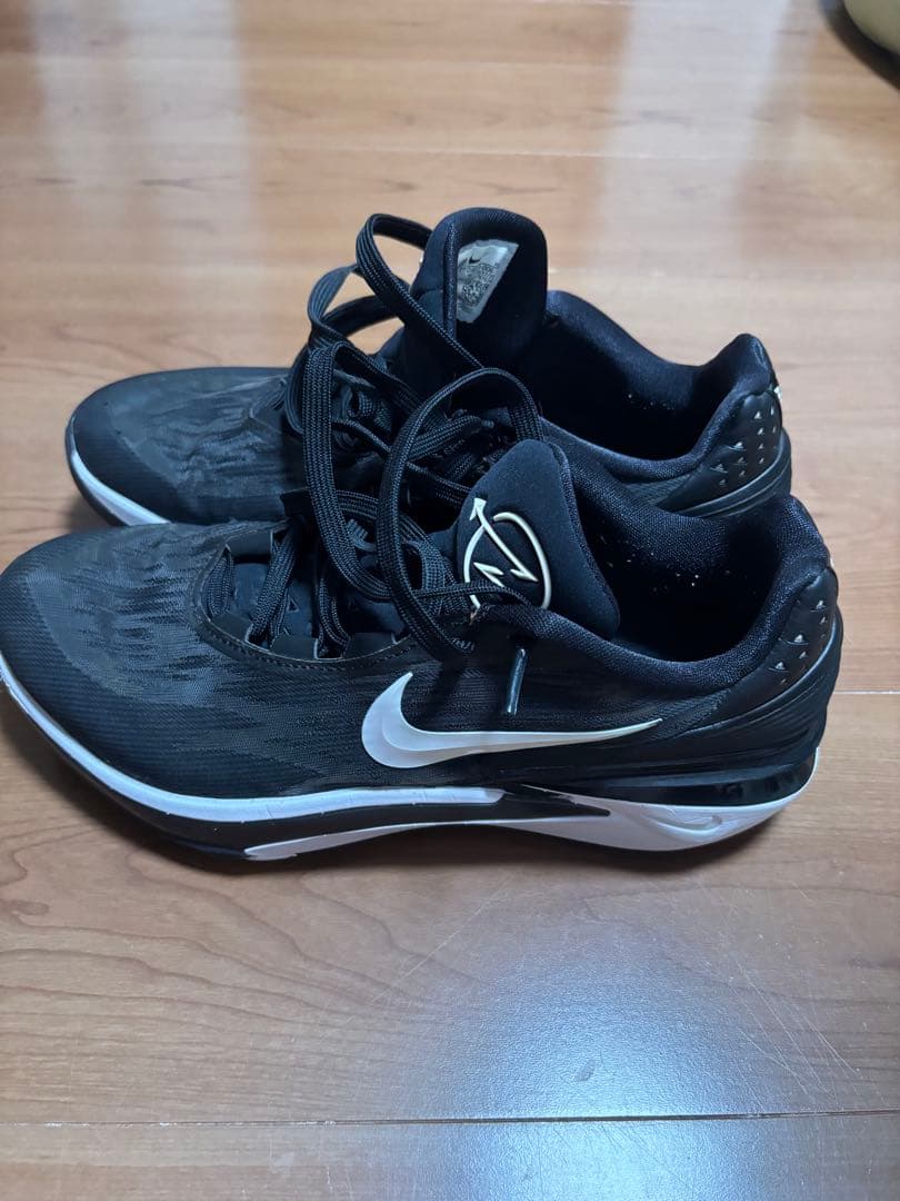 シューズ(男性用) NIKE AIR ZOOM GT CUT 2