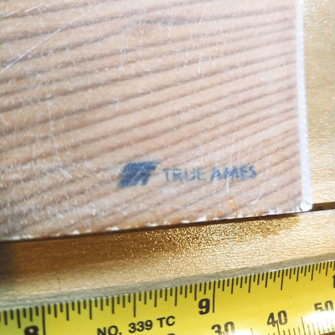 True Ames ツインフィン