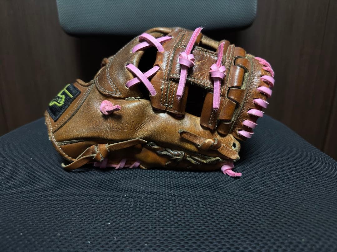 スラッガー Professional Player 硬式グローブ