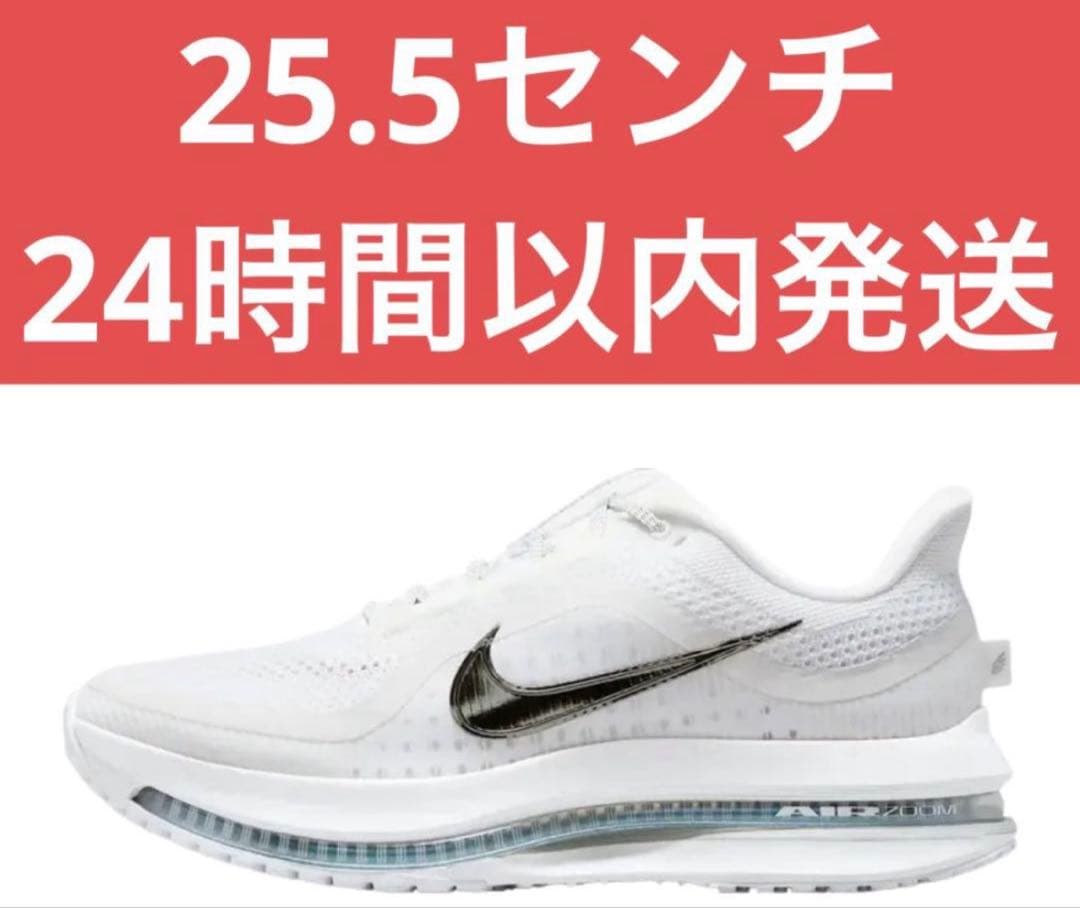 25.5 Nike Pegasus PR ナイキ ペガサス HQ2592-102