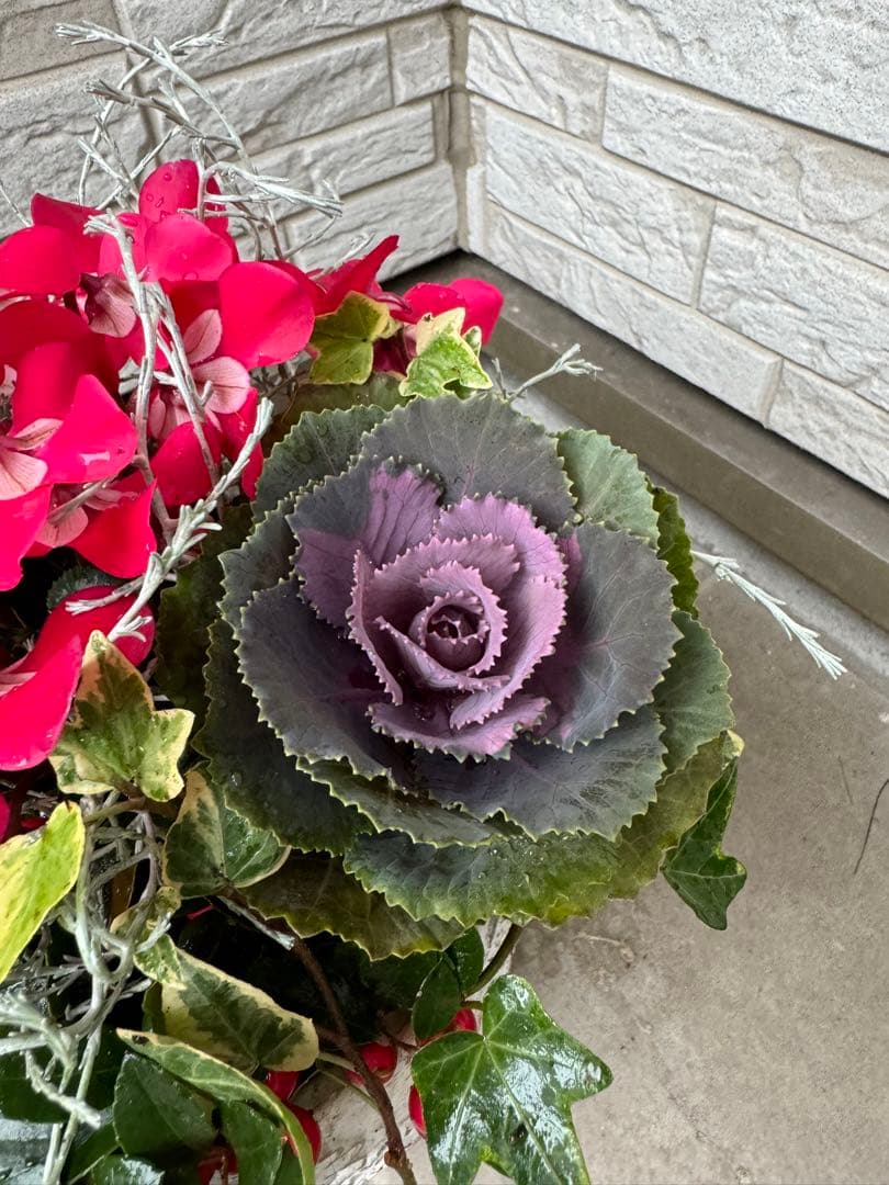 寄せ植え　花■季節の花のブリコラージュフラワー