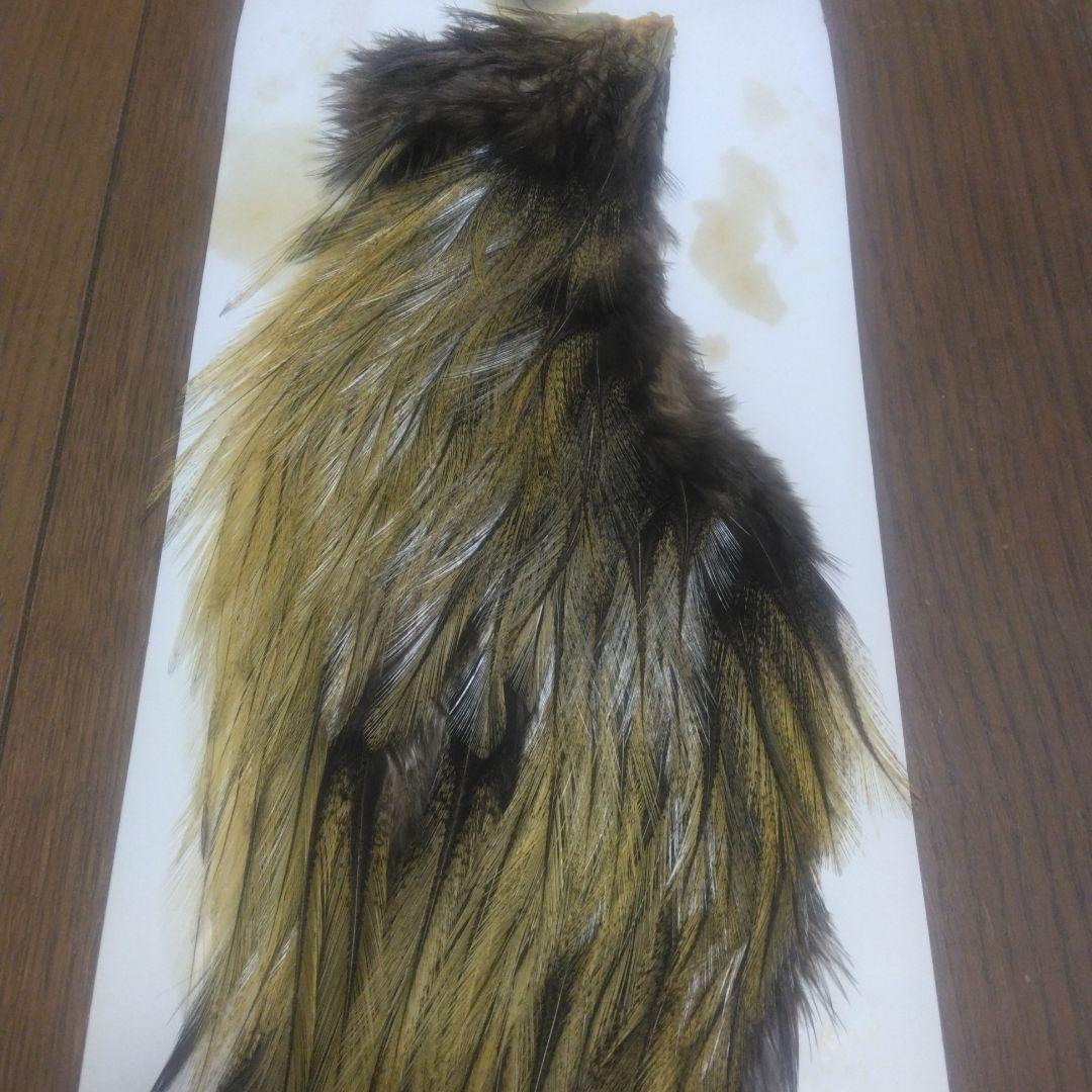 WHITING コックデレオン　未使用 ブロンズ　ROOSTER SADDLE