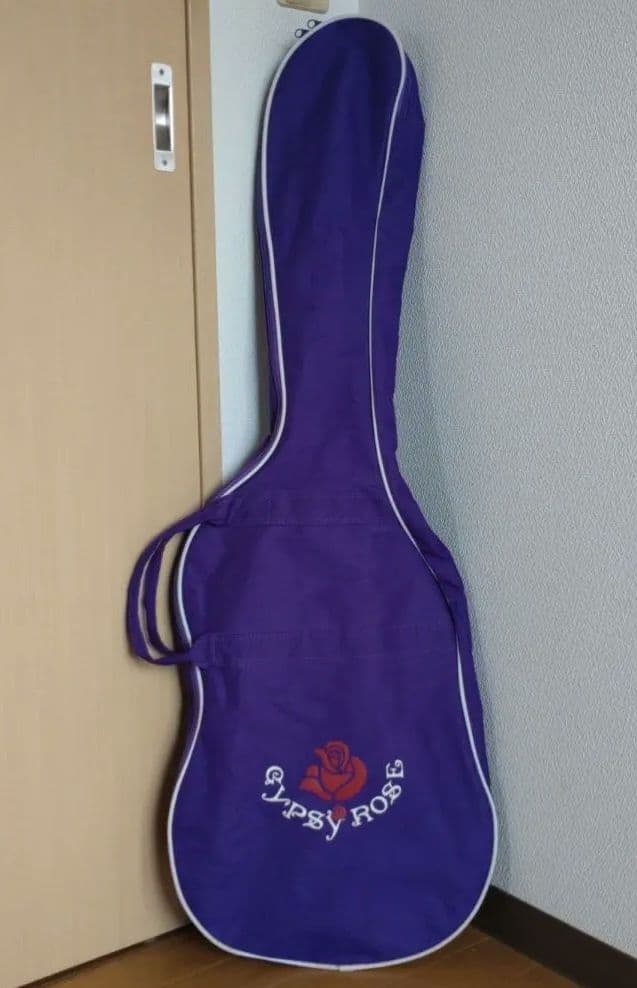 GYPSY ROSE（ジプシーローズ）ストラトモデル 美品 ＆ 専用ケース付き