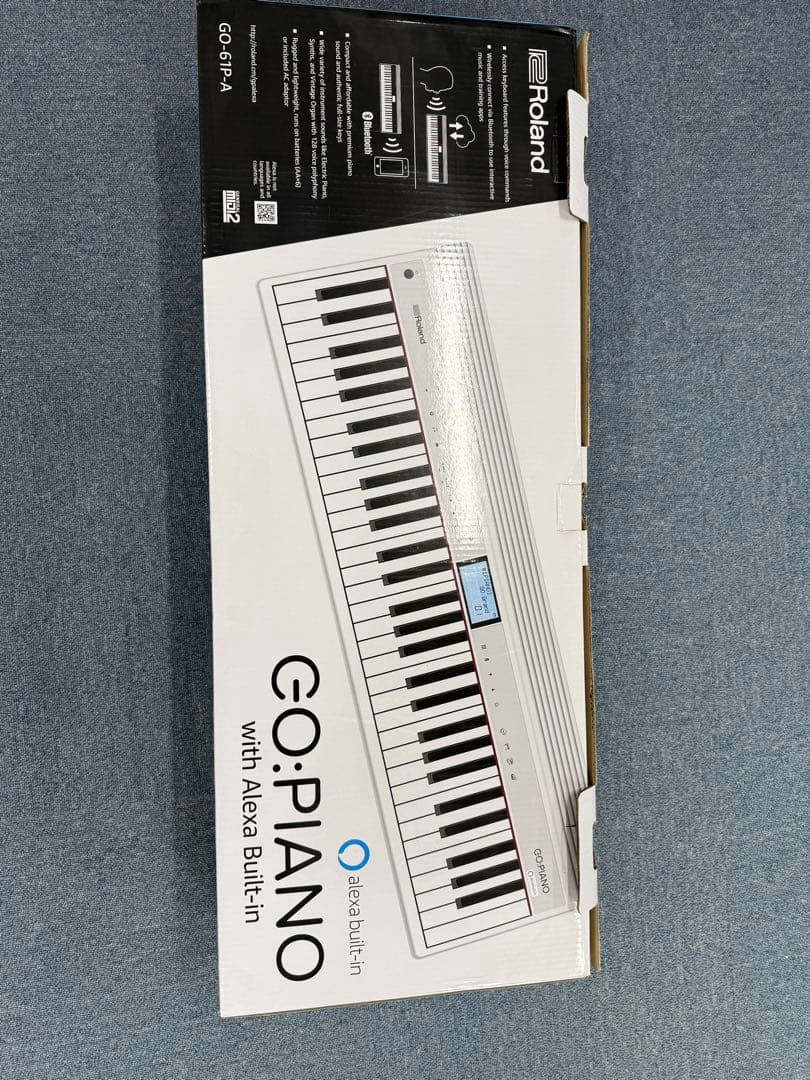 Roland GO-PIANO 61-pA. Alexa内蔵 携帯ケース付き